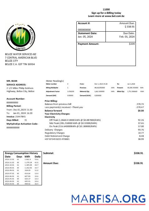 Printable Belize Electricity Limited electricity business utility bill template in Word and PDF format